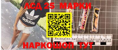 ГАЛЛЮЦИНОГЕННЫЕ ГРИБЫ Шелехов