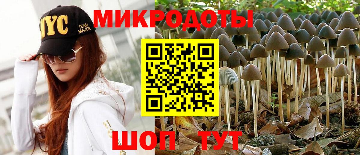 Галлюциногенные грибы Magic Shrooms Луховицы