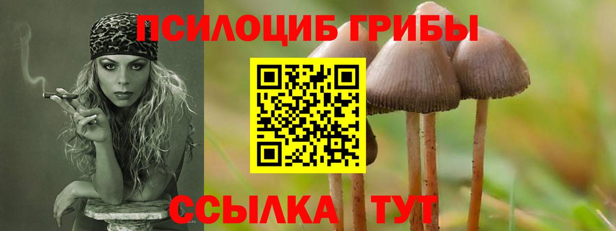 Галлюциногенные грибы мицелий  Псилоцибиновые грибы GOLDEN TEACHER  дарнет шоп  Луховицы  Вход с VPN 